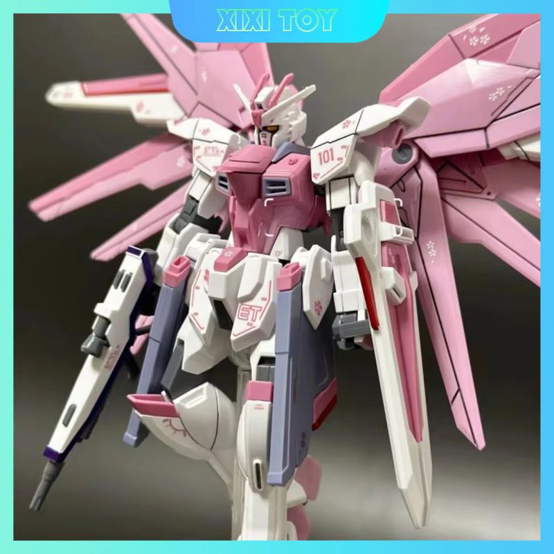 JMS HG 1/144 ZY-06 Freedom Ass - Bandai Gundam Rg recensione e prezzo