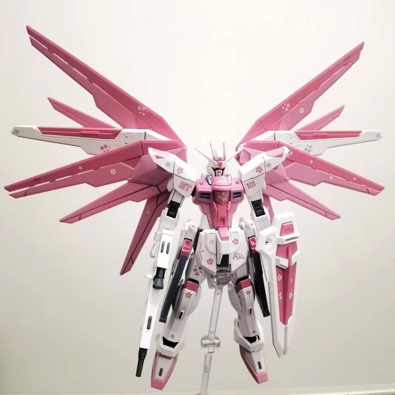 JMS HG 1/144 ZY-06 Freedom Ass - Bandai Gundam Rg recensione e prezzo