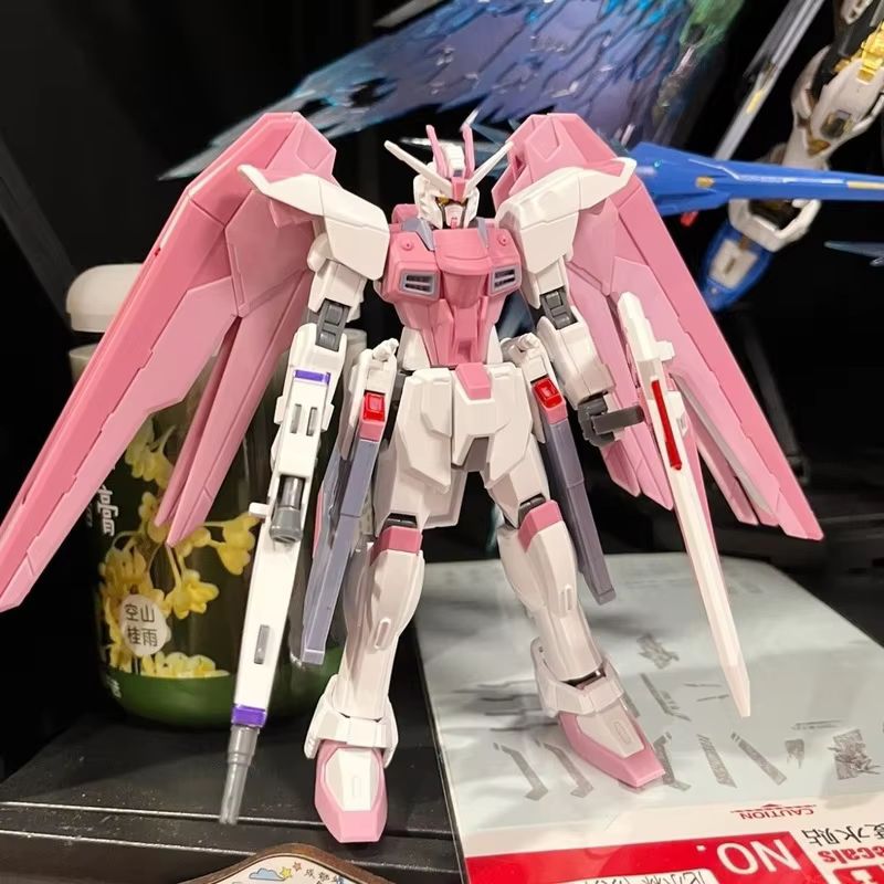 JMS HG 1/144 ZY-06 Freedom Ass - Bandai Gundam Rg recensione e prezzo