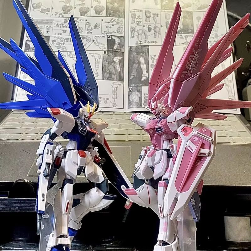 JMS HG 1/144 ZY-06 Freedom Ass - Bandai Gundam Rg recensione e prezzo